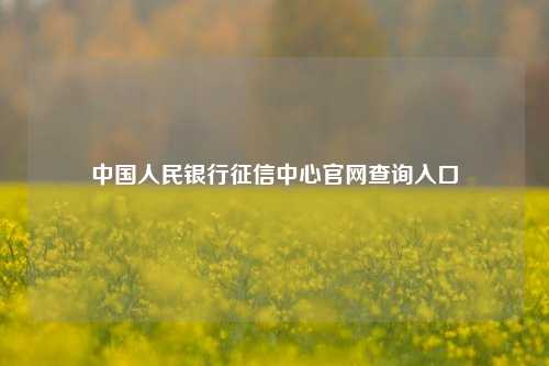 中国人民银行征信中心官网查询入口